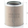 Filtro aria MANN-FILTER C 30 873