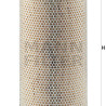 Filtro aria MANN-FILTER C 25 860