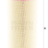 Filtro aria MANN-FILTER C 28 028