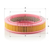 Filtro aria MANN-FILTER C 2231/1