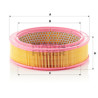 Filtro aria MANN-FILTER C 2443/1