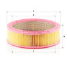 Filtro aria MANN-FILTER C 2545/1