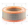 Filtro aria MANN-FILTER C 31 220