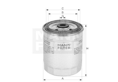 Filtro carburante