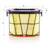 Filtro aria MANN-FILTER C 22 041