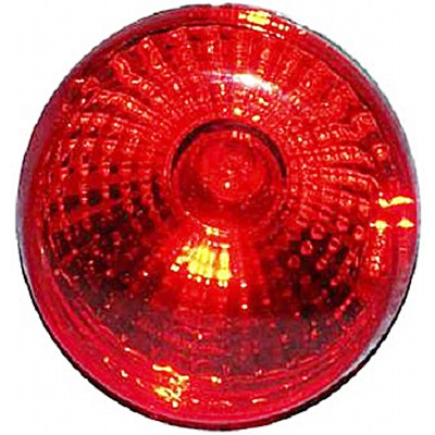 Retronebbia