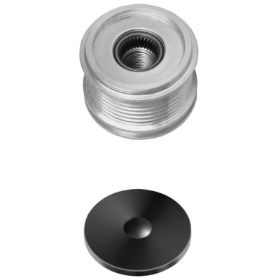Dispositivo ruota libera alternatore