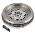 Volano bimassa SACHS 2295 000 487