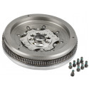 Volano bimassa SACHS 2295 000 514