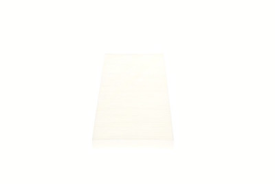 Filtro, Aria abitacolo