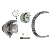 Pompa acqua + Kit cinghie dentate