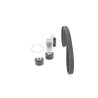 Pompa acqua + Kit cinghie dentate