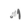 Pompa acqua + Kit cinghie dentate