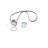 Pompa acqua + Kit cinghie dentate