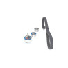 Kit cinghie dentate