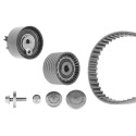 Kit cinghie dentate