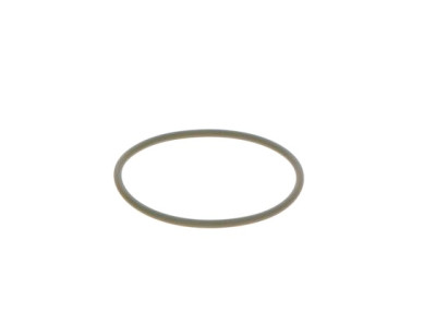 Anello di tenuta