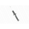 Ammortizzatore MONROE 251006RM
