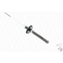 Ammortizzatore MONROE 251009RM