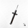 Ammortizzatore MONROE 251054RM