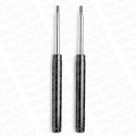 Ammortizzatore MONROE 376105SP