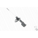 Ammortizzatore MONROE 401006RM