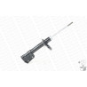 Ammortizzatore MONROE 401038RM