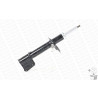 Ammortizzatore MONROE 401039RM