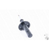 Ammortizzatore MONROE 401066RM