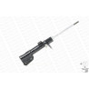 Ammortizzatore MONROE 401068RM