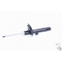 Ammortizzatore MONROE 401081RM