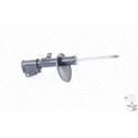 Ammortizzatore MONROE 401125RM