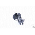 Ammortizzatore MONROE 72939ST