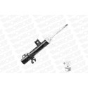 Ammortizzatore MONROE 742078SP
