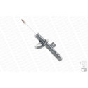 Ammortizzatore MONROE 742181SP