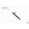 Ammortizzatore MONROE 742206SP