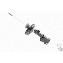 Ammortizzatore MONROE 742223SP