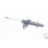 Ammortizzatore MONROE 742268SP