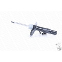 Ammortizzatore MONROE C2506R