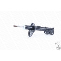 Ammortizzatore originale Monroe R7213