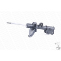 Ammortizzatore MONROE V4307A