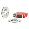 Set dischi freno BREMBO 09.A302.10