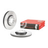 Set dischi freno BREMBO COATED DISC LINE 09.A430.11