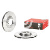 Set dischi freno BREMBO 09.B030.10