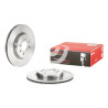 Set dischi freno BREMBO 09.C174.10