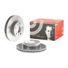 Set dischi freno BREMBO 09.D017.11
