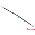Tubo flexible de frenos