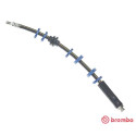 Tubo flexible de frenos