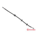 Tubo flexible de frenos