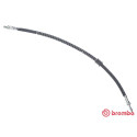 Tubo flexible de frenos